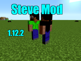 Steve Mod