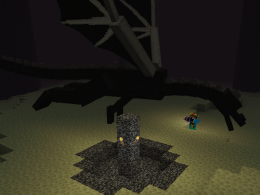 Guto010 Killing the Ender Dragon With The Marrom CellPhone