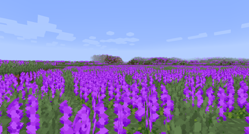 Lavender Fields (Enchanted Vanilla)