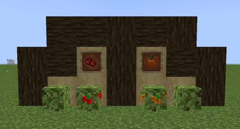 Cherry/Orange Bushes