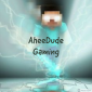 Profile picture for user AheeDude