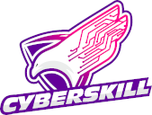 Cyberskill