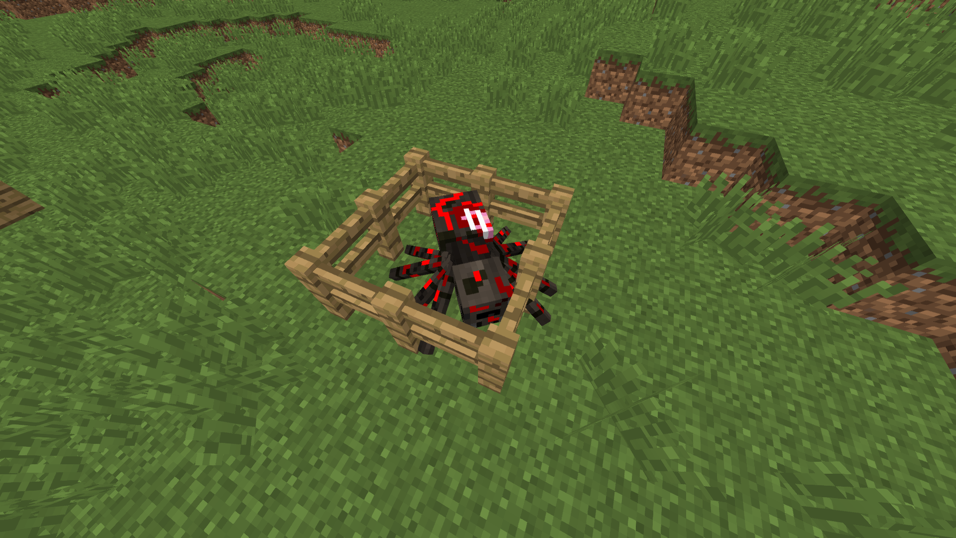 Zombie Spider