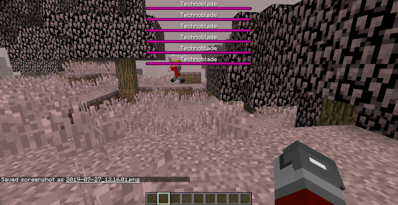 Technoblade Mod | MCreator