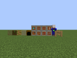 This Mod adds 5 blocks 8 Items, 1 mob and 1 biome