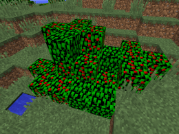 Berry can grow it spawns in special biome!