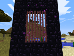 The Nether - Portel