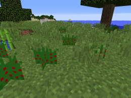 berries that you can find in this mod!