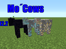 Mo´Cows