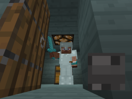 I am in the new sky island with a castle on it ( to see whats in the chest and what it looks like, that's up to you) holding the sword and the sky fruit I added and wearing the sky armor I added.