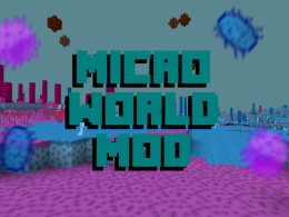 The MicroWorld