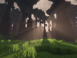 Placeholder screenshot for mod logo. Just a beautiful image of a part of the Redwood Forest in shaders.