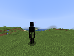 The EnderMight