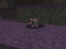 rat in the spooky biome