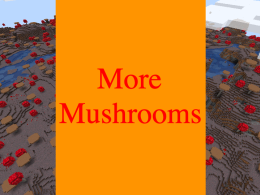 A wide shot of the mushroom fields
