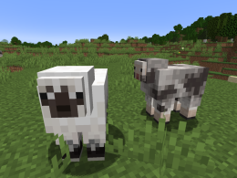 Earth Sheep