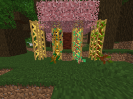New tree and vines