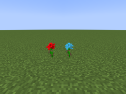 The rose and cyan flower.