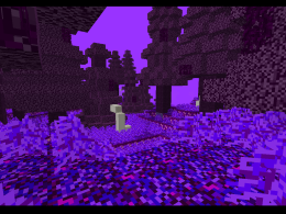 This it the Amethyst forest which you can find in both the over world and as the main biome in the shadow realm