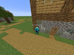 A picture of Iceyplayz23 standing in front of a villager house.