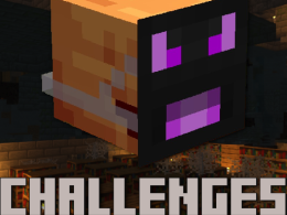 Pinguinmike,s Challenges