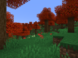 Maple Forest