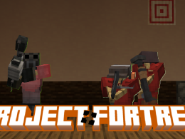 Project Fortress