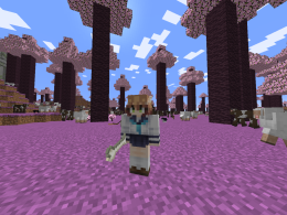 Picture of Nokotan in custom biome (which isn't the best at the moment)