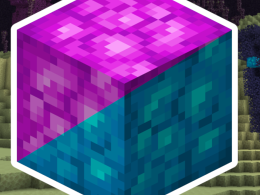 Nether and End Update Logo