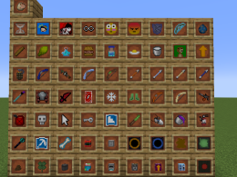 Screenshot w/ all mod items