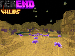 End Wilds and Logo