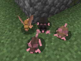 mice
