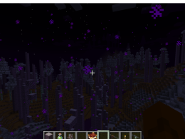 Blue Blue Woods Black Black Night