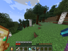 MINECRAFT