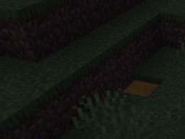 Plains.Chest