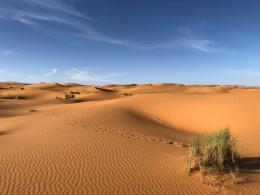 desert