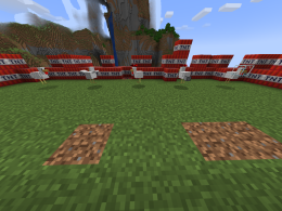 All Chickens