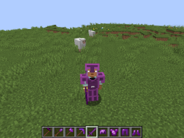 new armor and new biome and a lot of new stuff