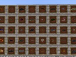 A variety of fish to find and catch from all over the land!