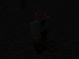 holding whip