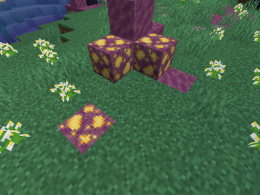 Magite location example