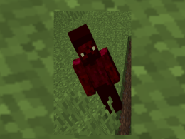 Horror Steve