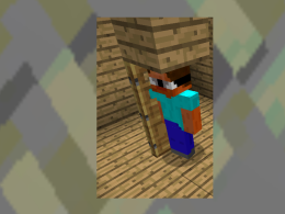 Pro