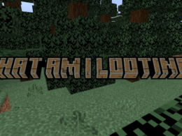 Title: what am i looting