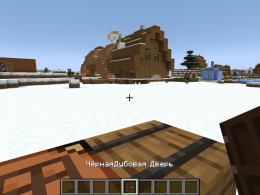 BlackOak Door (PREMIUM|BLOCK)