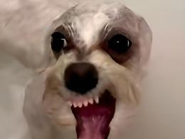 daug