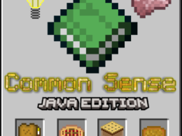 gray background with a lightbolb in the top left and pink pixel brain in the top right with a green pixel book in the middle. blow it shows a gold text saying, "Common Sense" and a minecraft style "Java edition" under it. then minecraft inventory style boxes with food like items in them. first one shows of a sandwich, second one shows a apple pie, 3ed one shows a smore and the last one shows a pizza all in pixel style.