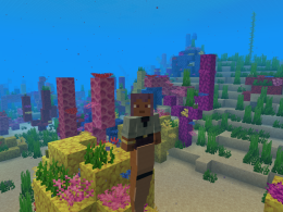 Become a Mermaid!