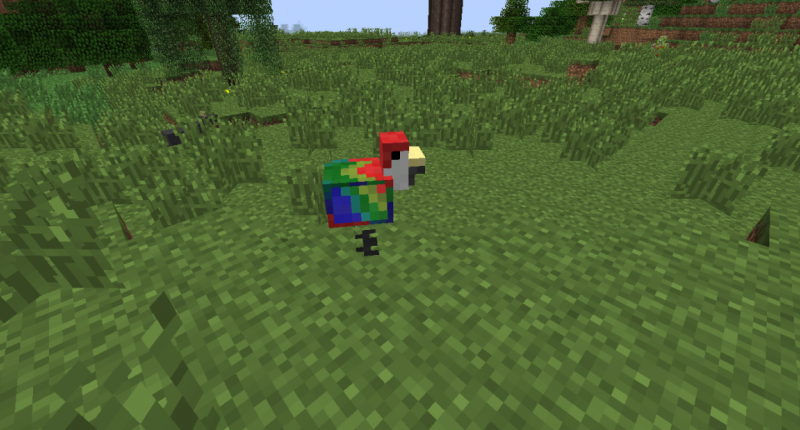 A parrot. They spawn in jungles.