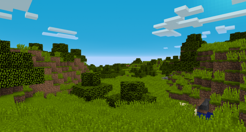 A biome with bushes